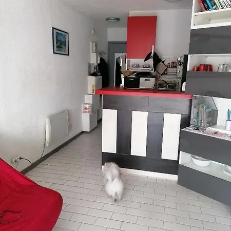 Apartment Agence Immobiliere *